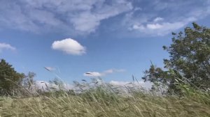 Звуки ветра: белый шум для легкого сна