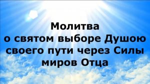МОЛИТВА О СВЯТОМ ВЫБОРЕ ДУШОЮ СВОЕГО ПУТИ ЧЕРЕЗ СИЛЫ МИРОВ ОТЦА #наянабелосвет