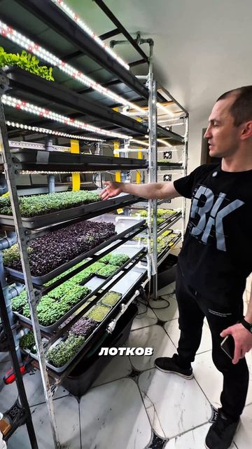 Микрозелень как бизнес🍀