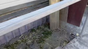 Работа на даче. НЕЗРЯЧИЙ Василий(он же Ваня😉) делает парничок из старого поликарбоната.