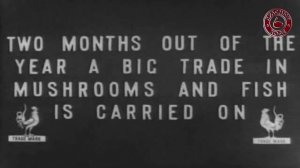 Торговые лавки в 1908 году. Студия братьев Пате.  Русский мир