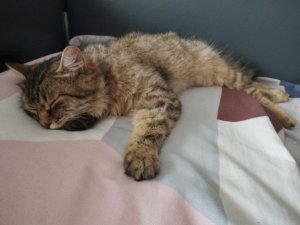 ну просто сидим