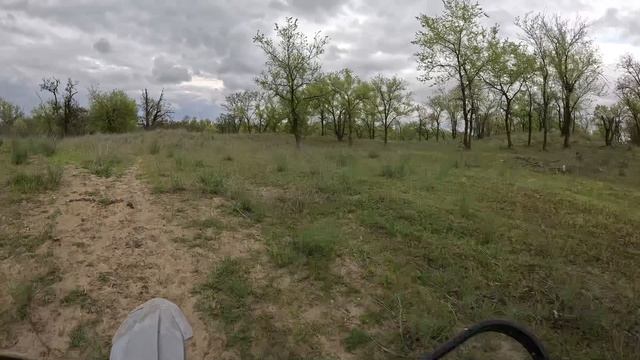 04 23 прогулка погоня за лисой и зайцем