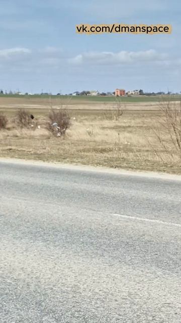 Какова красота