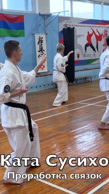 Кёкусинкай / Ката Сусихо / Проработка связок / Сихан Фомин В.П. (14.03.26) #69