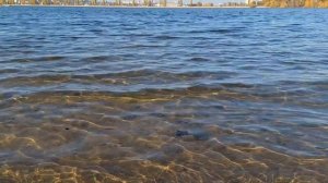 Воронеж. Воронежское море, чистая вода пляж парка Алые паруса