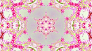 Весна! Очаровательные тюльпаны 7! Киностудия Мудрого Кота Тимофея!