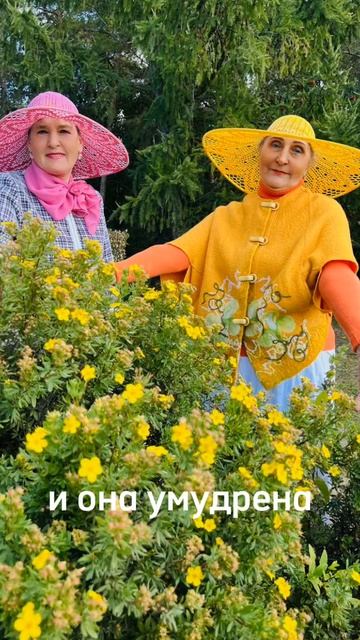 Это стих второй