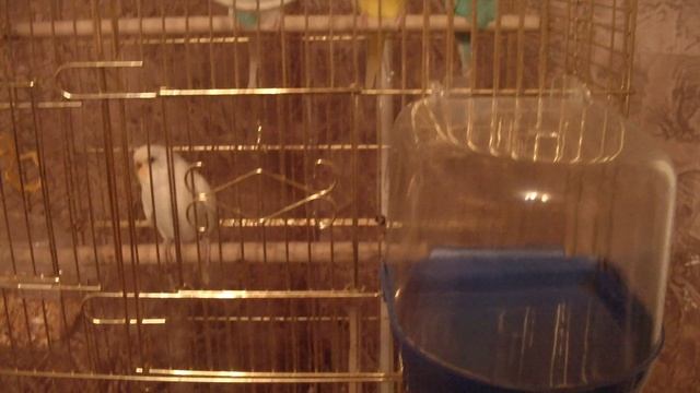 давайте спать