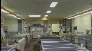 The Making of a Buffet Crampon Clarinet - Buffet