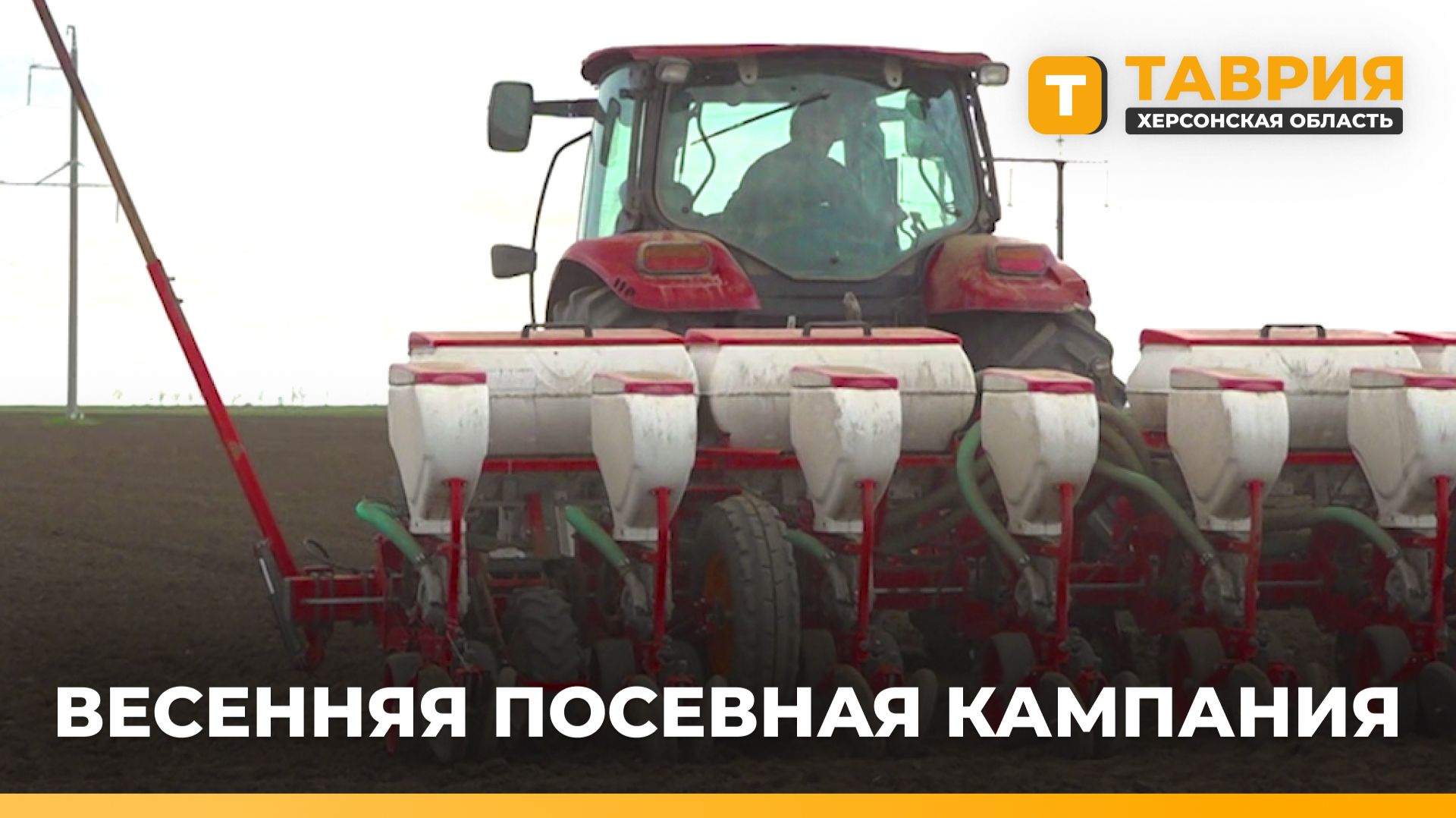 В Херсонской области планируют засеять подсолнечником более 280 тысяч гектаров