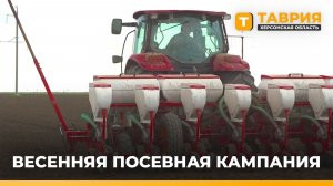 В Херсонской области планируют засеять подсолнечником более 280 тысяч гектаров