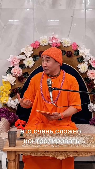 Занять в служении Кришне. Е. С. Даяван Свами