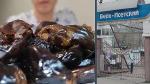 Мукбанг: королевский чернослив с курицей и овсяной кашей