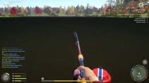 РР 4 СОМИК ОЛИВКАВЫЙ