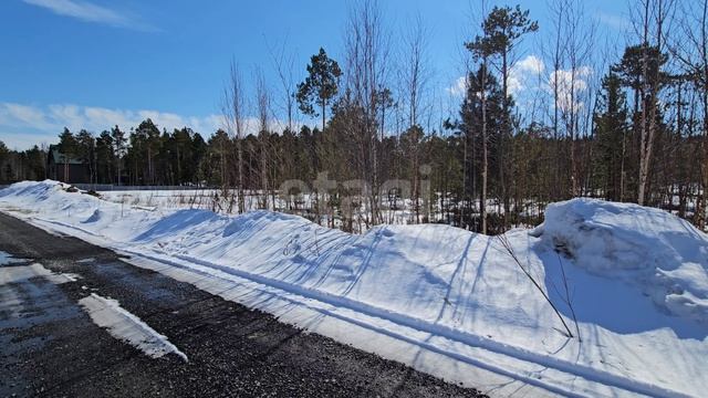 2103262 Витамин