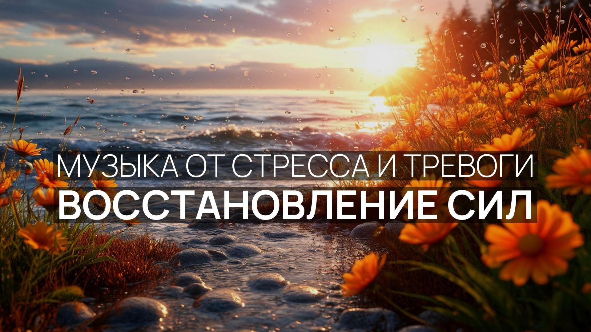 Восстановление сил ✨ Бирюзовая вода 🌅 Пляжные пальмы 🏖️