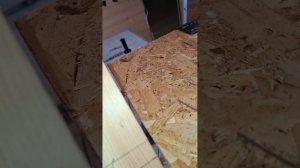 1000056823.mp4 (Собака наблюдает за устройством лестницы на 2-ой этаж в доме А-фрейм)