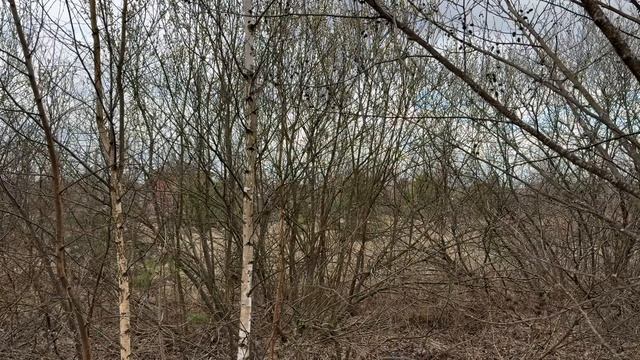 д Губино, ул Молодежная