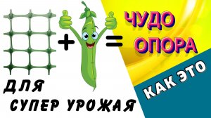 ШПАЛЕРА ДЛЯ ГОРОХА. Разборная, мобильная, долговечная / Как это / Дачный СПАС