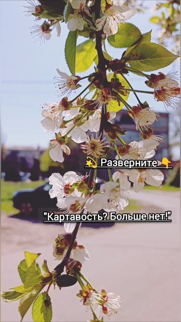 Логопедические упражнения