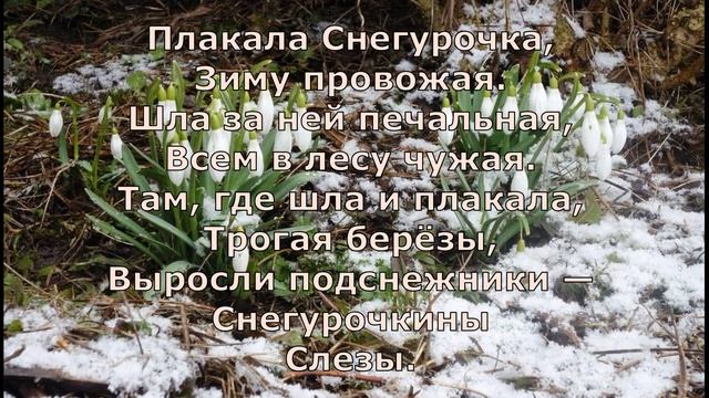 Т. Белозёров. Подснежники