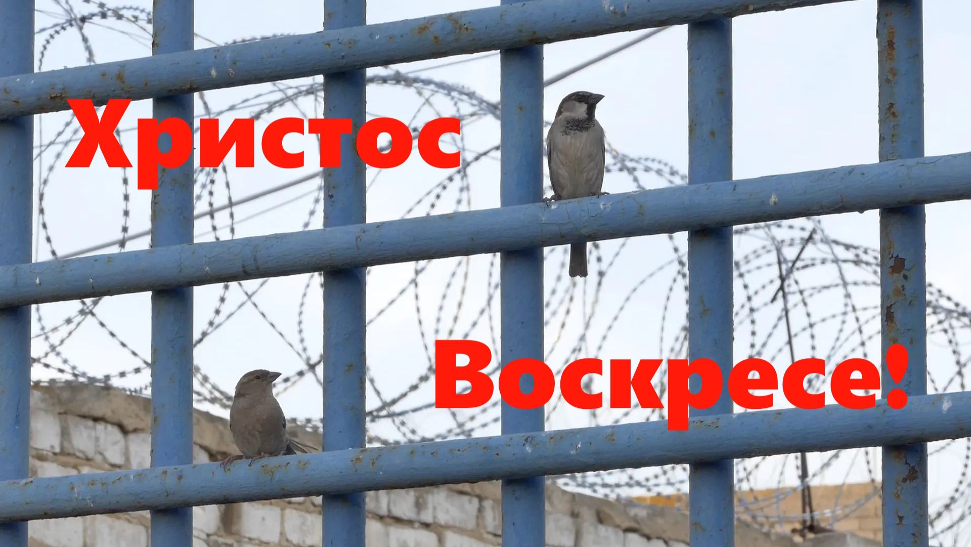 Светлый понедельник в СИЗО-2