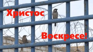 Светлый понедельник в СИЗО-2