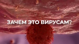 АНОМАЛИЯ ЖИЗНИ на нашей планете. Документальный фильм