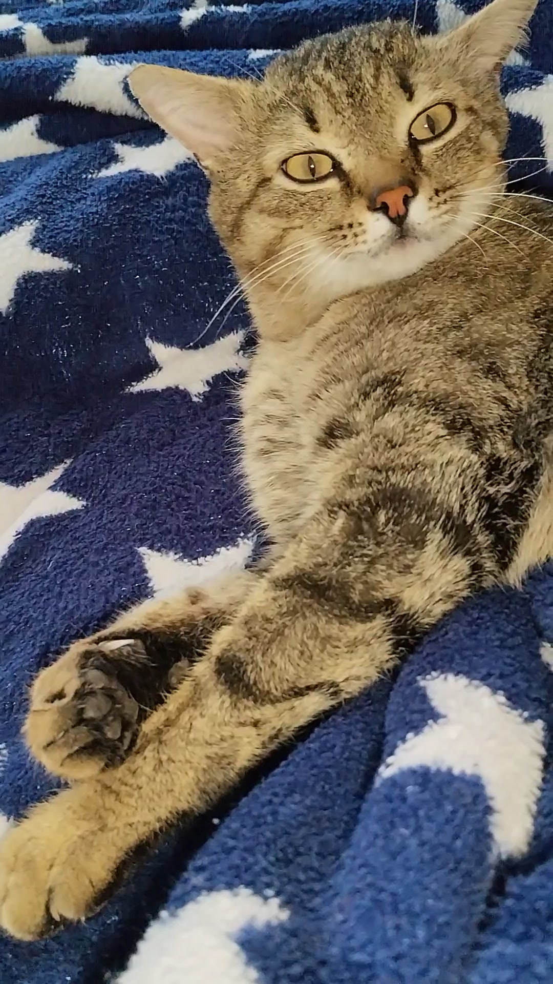 Я переосмыслил жизнь! Держитесь! 😻🤣  23-04-2026