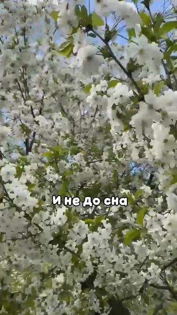 Весна 23-04-2026.