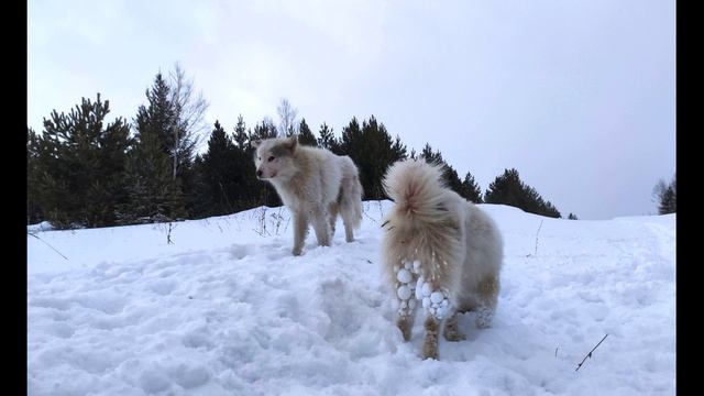 В. Берестов. За игрой