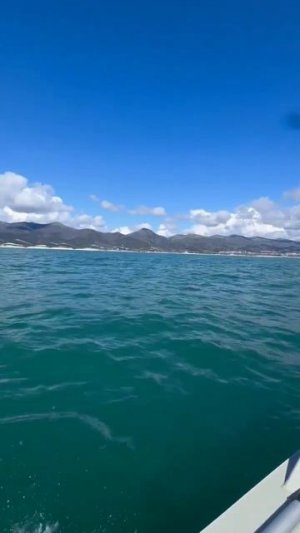 Страйкер Х4 на море