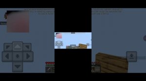 1393.mp4