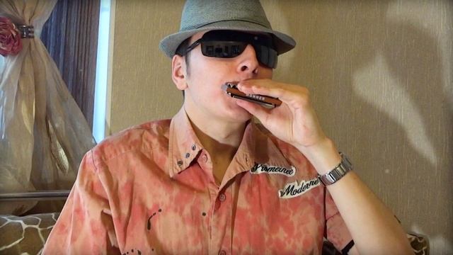 Yankee doodle кавер на диатонической гуной гармошке 2013 год