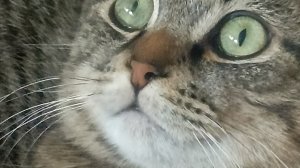 Играем , болтаем,отгадываем 😁 загадки 🤣