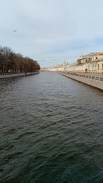 Река Фонтанка у Летнего сада Петербург. 22 апреля 2026.