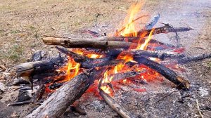 Отдых в лесу без комментариев!!! Полный релакс!!!