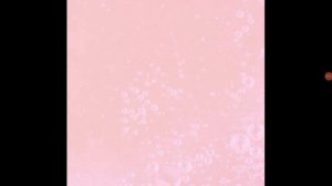 Конкурс артов от Нонси до 25 апреля (До конца!)