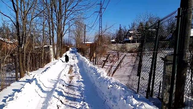 лучший друг