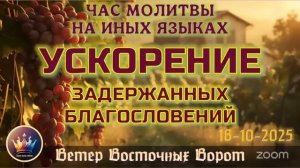 🚀🛐✈️ ЧАС Молитвы на Иных Языках ⬆️🙏🏻⬆️ УСКОРЕНИЕ ЗАДЕРЖАННЫХ БЛАГОСЛОВЕНИЙ 🚀🛐✈️