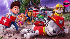 Щенячий патруль и Маршалл. Залипательное видео. Мультфильм для детей и малышей. Анимация 443