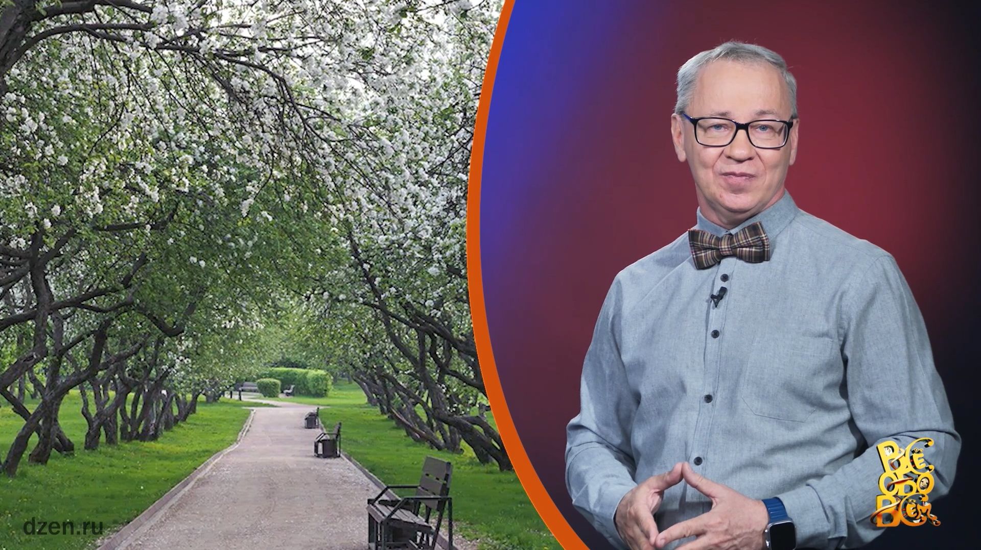 Всё обо всём. Яблоневый город. Выпуск от 23.04.26