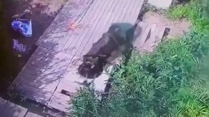 НЕУДАЧНЫЕ СЛУЧАИ НА РЫБАЛКЕ, СНЯТЫЕ НА КАМЕРУ