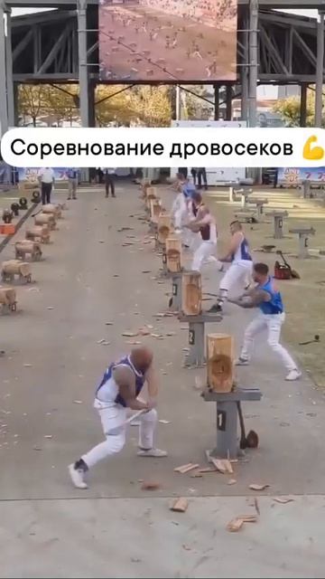 Соревнование, которое действительно опасно, если быть честным.