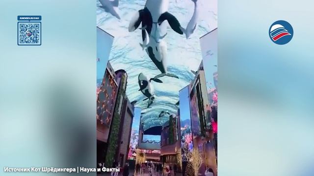 Невообразимая красота: впечатляющий потолок в торговом центре Китая