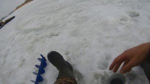 ловля плотвы