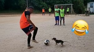 ⚽ ЛУЧШИЕ ФУТБОЛЬНЫЕ НАРЕЗКИ #231: ГОЛЫ, ПРИКОЛЫ, МОМЕНТЫ