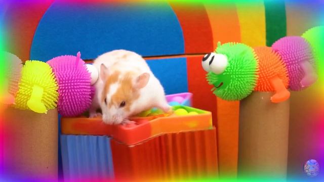 Хомяк против кальмара, игра 1. Главное испытание. Удивительный цифровой цирк. часть 6