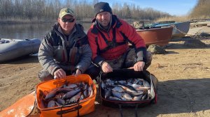 ЛАДОЖСКАЯ ПЛОТВА СОШЛА С УМА, ТРОСТНИК ПРОСТО КИШИТ, ПОКЛЁВКА КАЖДЫЙ ЗАБРОС!